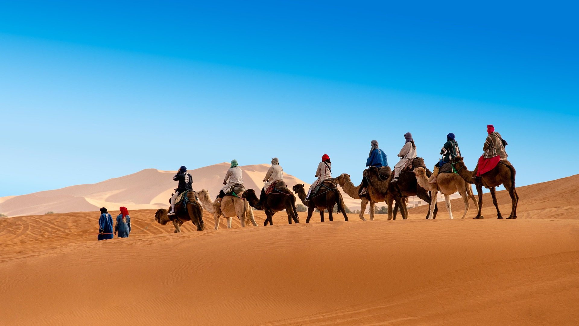 Activité pour séminaire d'entreprise : balade en chameau dans le désert marocain