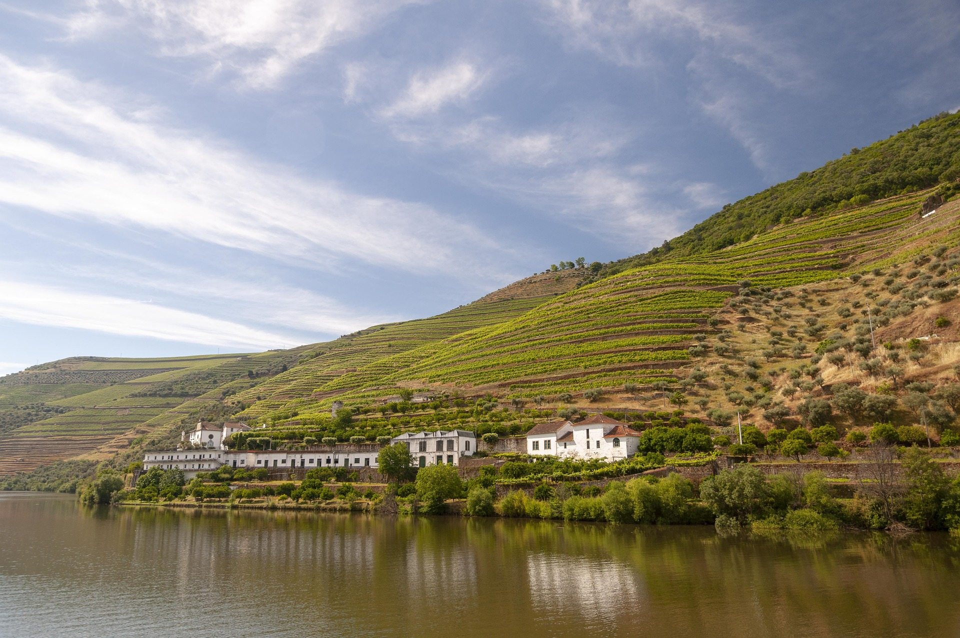 Croisière sur le fleuve Douro